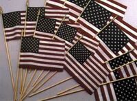 USA Flags