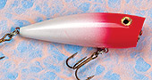 Popper Fishing Lure