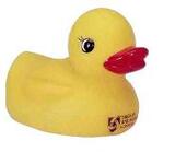 Popular Rubber Duck