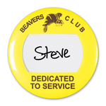 Window Celluloid Buttons