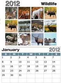 Wildlife Sticky Back Calendar