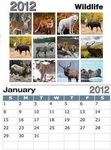 Wildlife Sticky Back Calendar