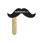 Mustache on a Stick