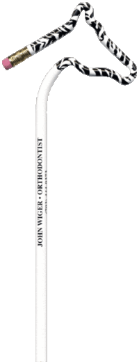 Bentcil - Zebra Multicolor Pencil