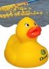 River Race Rubber Ducks  with your custom printed branding or personalized logo.