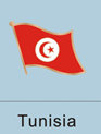 Tunisia Flag Pin