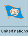 United Nations Flag Pin