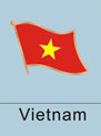 Vietnam Flag Pin