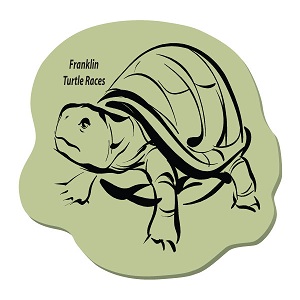 Turtle / Tortoise - Die cut Post it Note Pads ... from ASI 91240 3M/Promotional Markets Dept