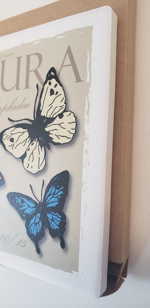 Square shaped absorbent stone coaster with cork backing, natural cream color... from ASI 62190 Illini / Illini