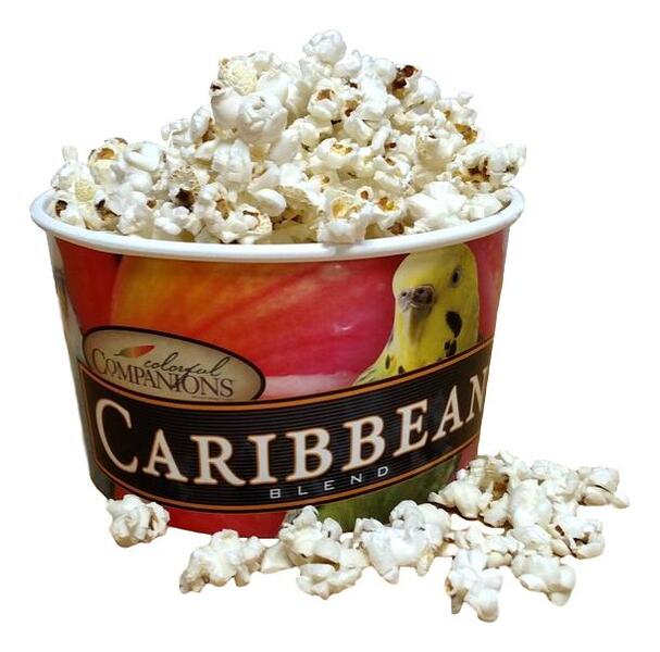 Popcorn Buckets / Beer Tub / Brew Pail in Plastic -