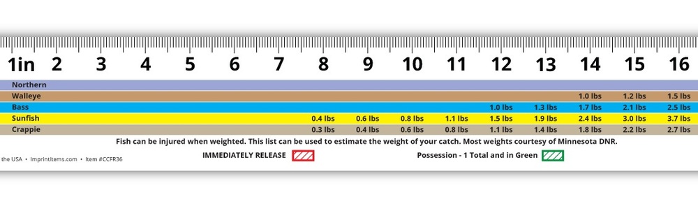 Custom length and printed fish ruler in on removable adhesive decal